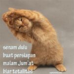 jumat malam gokil sunah rasul rosul terlengkap