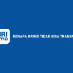 kenapa bri tidak bisa transfer