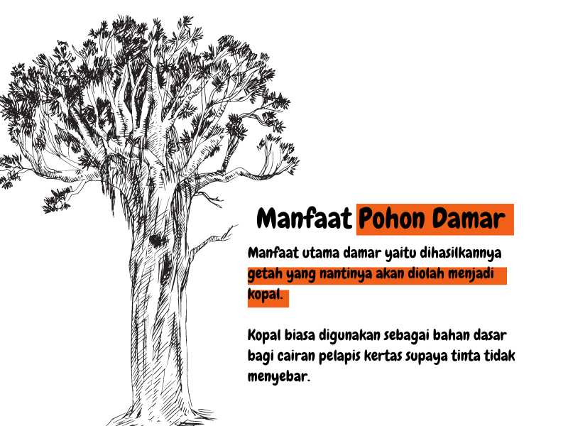 manfaat pohon damar terbaru