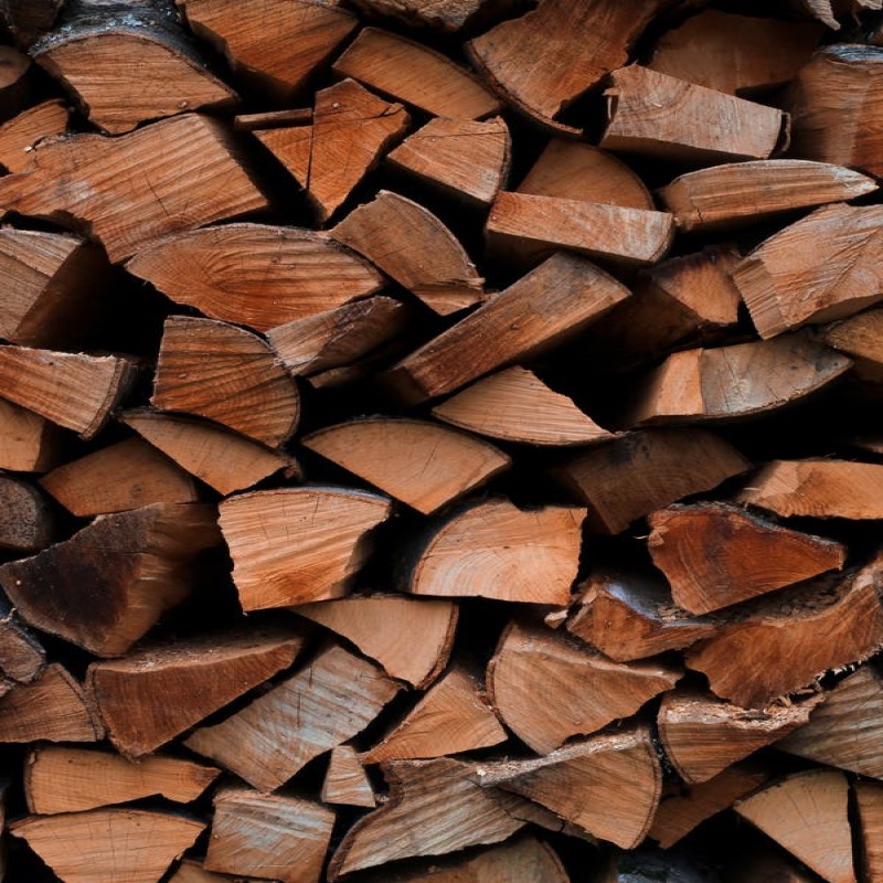 karakteristik kayu meranti